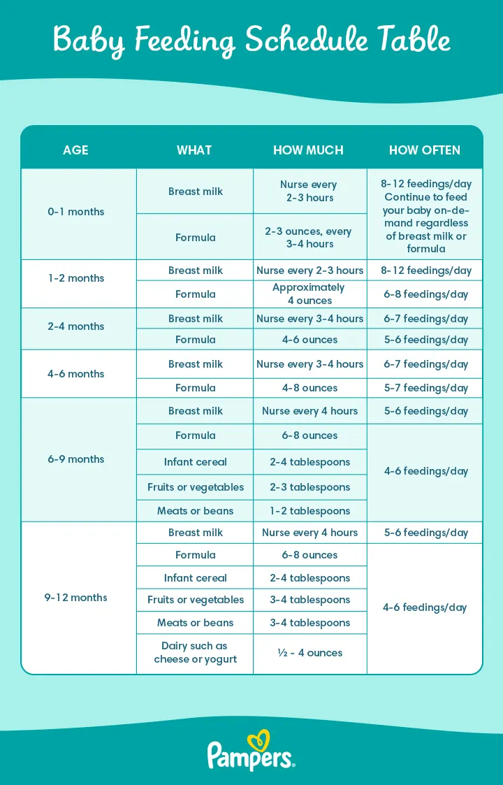 How Often to Feed a Newborn